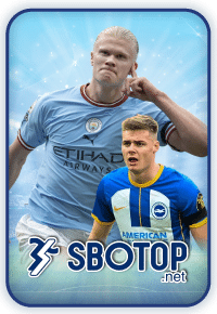 E-SBOTOP
